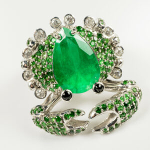 ring-007-1